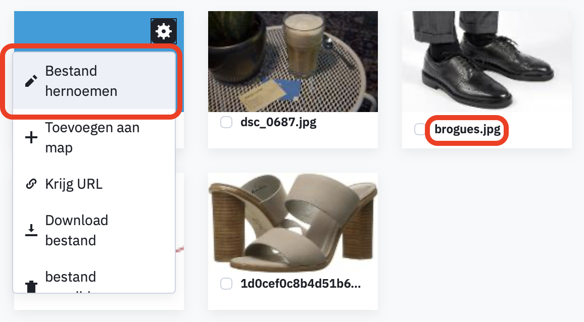 Bestand_hernoemen.png