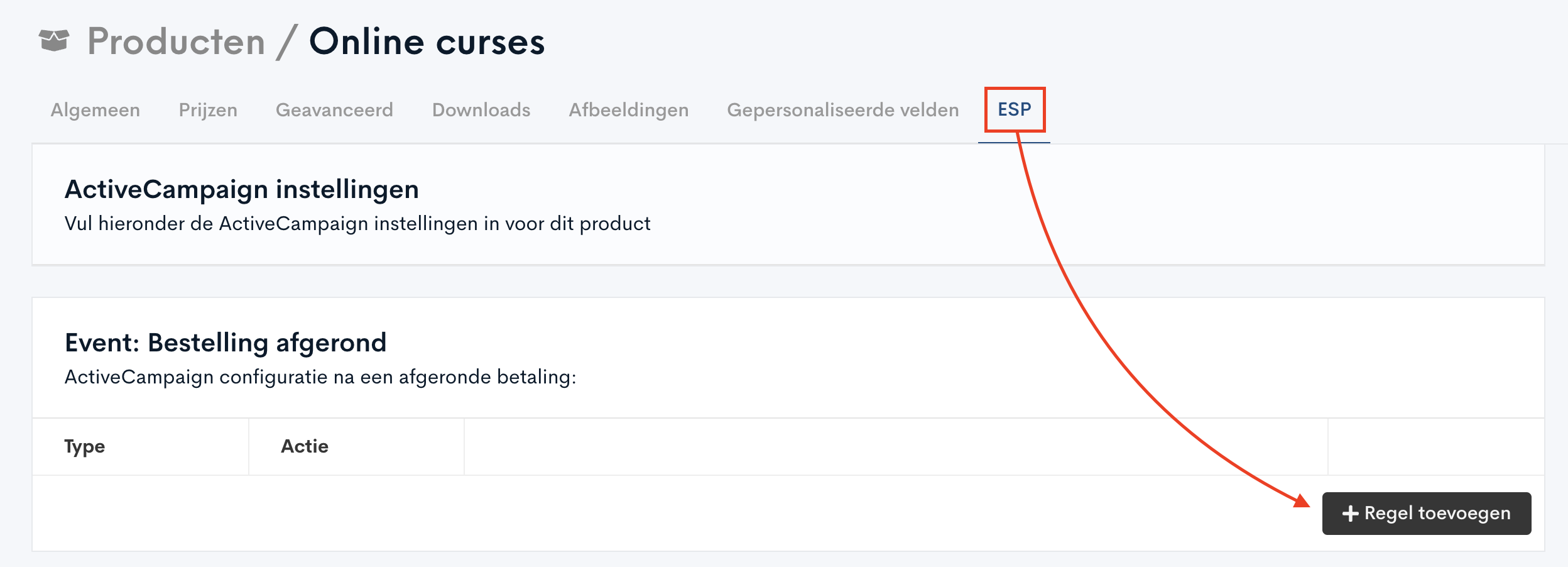 Plug_Pay_ESP.png
